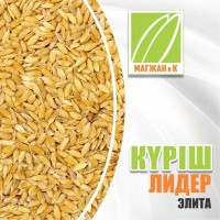 Продам супер семена риса