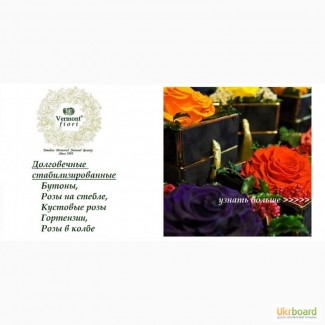 Розы, бутоны, гортензии стабилизированные VermontDesign