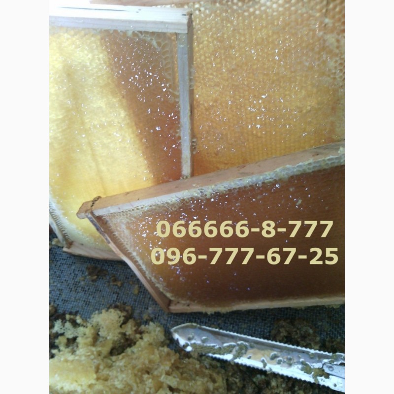 Фото 7. Мёд Акация 35% - Липа 45% - Донник 15%. Мёд натуральный, вызревший, нежный ароматный