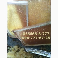 Мёд Акация 35% - Липа 45% - Донник 15%. Мёд натуральный, вызревший, нежный ароматный