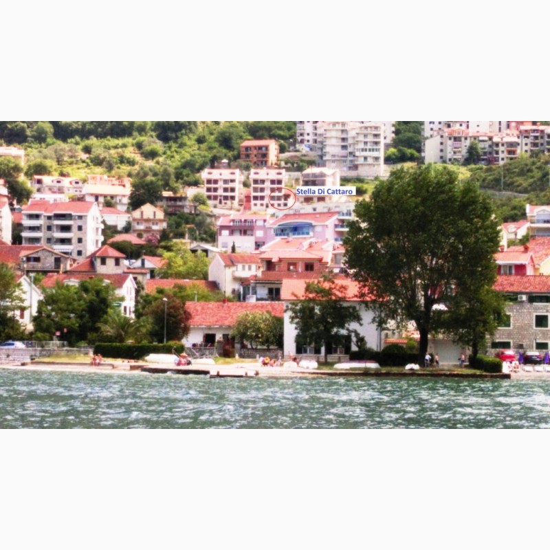 Фото 7. Лучший отдых в Черногории. Apartments Stella di Cattaro