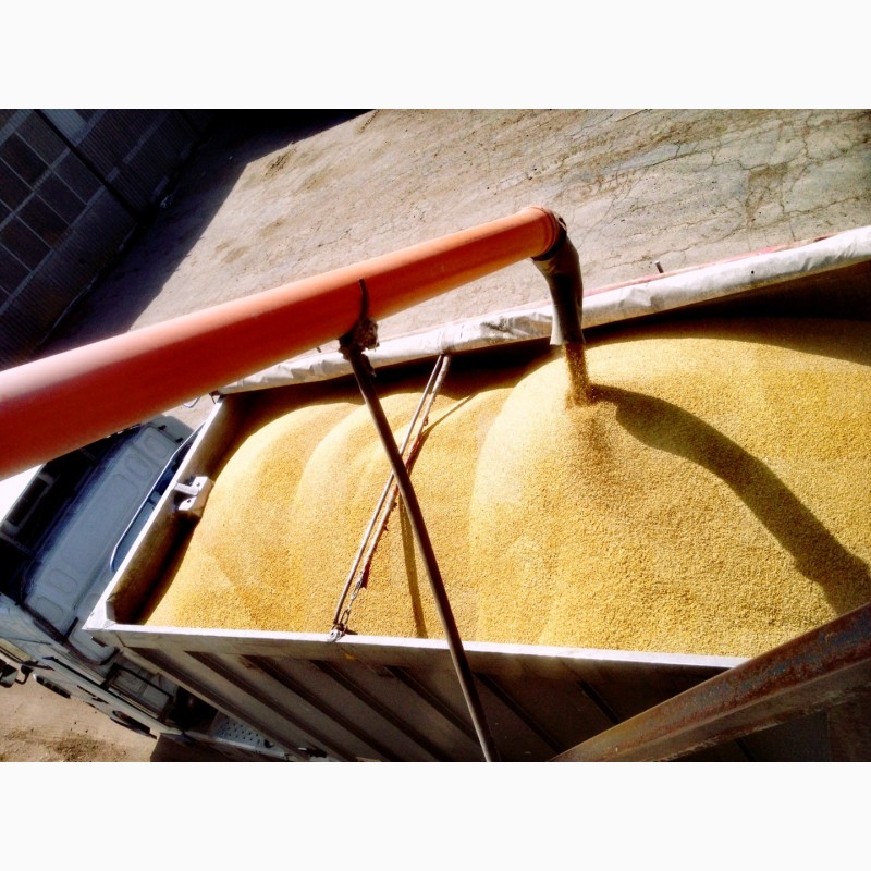 Фото 5. Зерновоз, перевозка зерна в Украине
