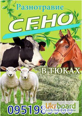 Бесплатная доставка сена в тюках по Украине. Люцерна, луговое, солома