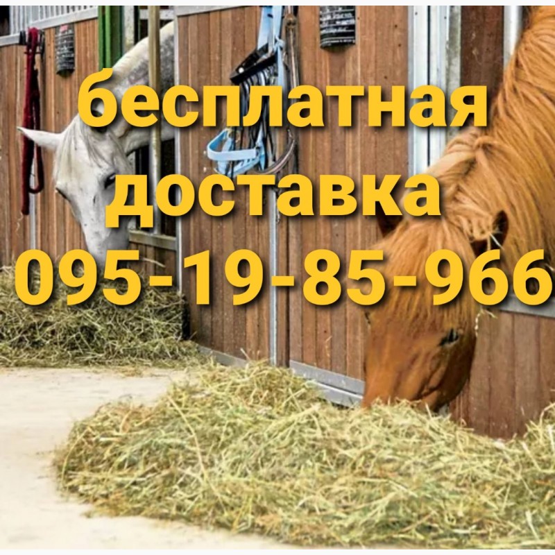 Фото 2. Бесплатная доставка сена в тюках по Украине. Люцерна, луговое, солома