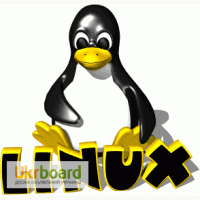 Установка и настройка Linux