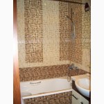 Облицовка мозаикой бассейны, ванные комнаты Киев, Житомир