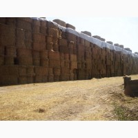 Тенты для накрытия сена, зерна на складах и открытых площадках, для техники, тракторов