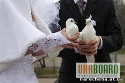 Фото 2/3. Весільні голуби
