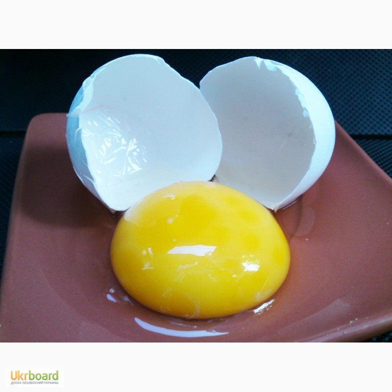 Фото 12. Яйца куриные столовые