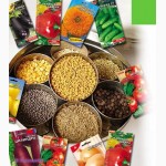 Производим и экспортируем семена овощей и сельхозпродукции в другие страны