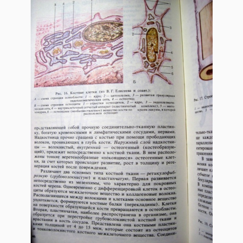 Фото 15. Анатомия человека Сапин Билич 1989 Строение Системы органов Учебник биологических высших