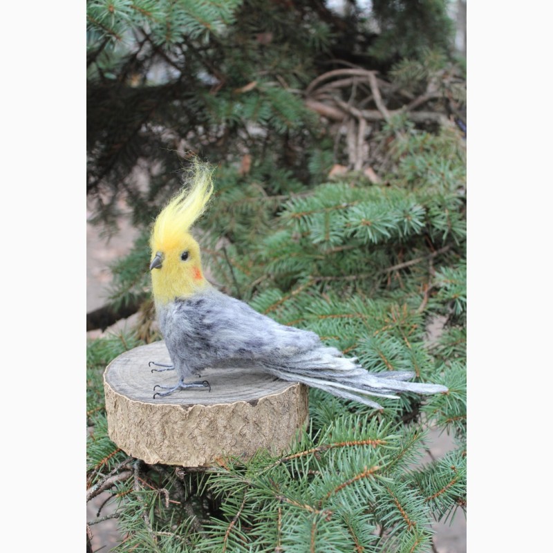 Фото 7. Валяная игрушка хендмэйд попугай корелла с шерсти интерьерная сувенир подарок папуга
