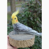 Валяная игрушка хендмэйд попугай корелла с шерсти интерьерная сувенир подарок папуга