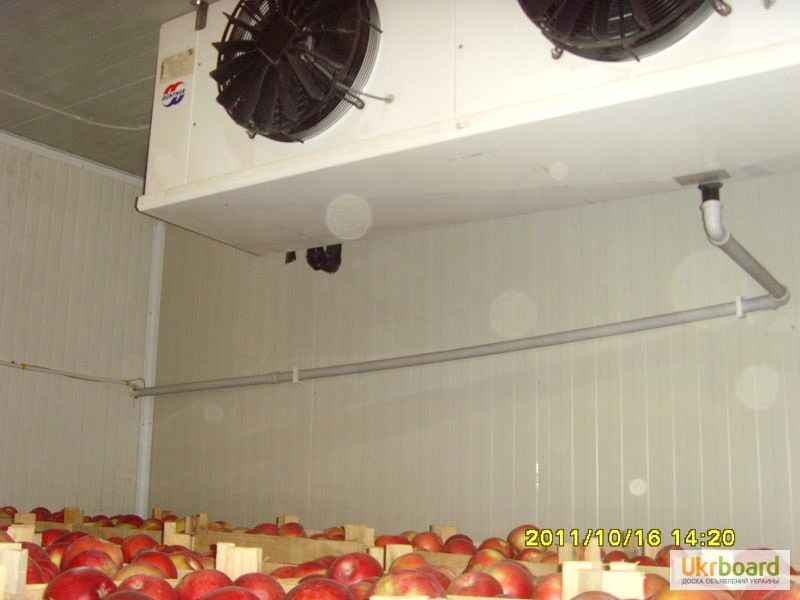 Фото 5. Монтаж овощехранилищ, фруктохранилищ.Подбор холодильного оборудования, установка