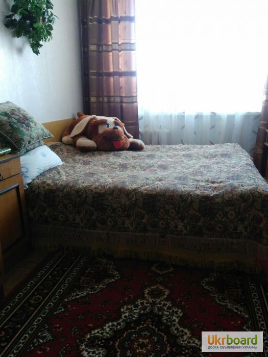 Фото 9. Сдам 2-х комнатную квартиру в Сергеевке