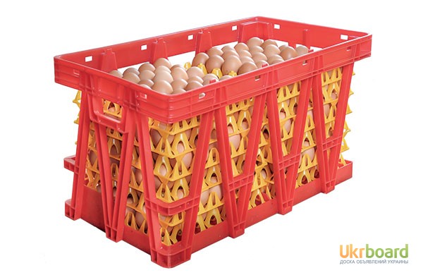 Фото 2. Ящик контейнер пластиковый для перевозки яиц LINDAMATIC