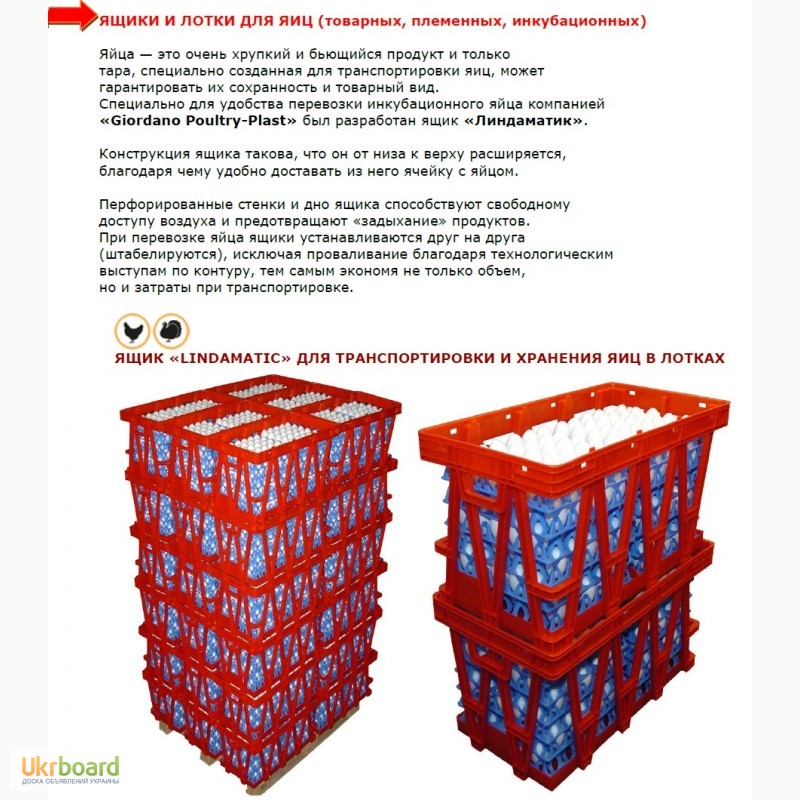 Фото 3. Ящик контейнер пластиковый для перевозки яиц LINDAMATIC