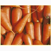Мойка, Шлифовка и Упаковка Овощей (картофель, морковь, свекла и др.)