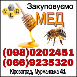 Закупівля меду з соняха в Черкаській обл