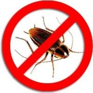 Уничтожение клопов, тараканов, других насекомых