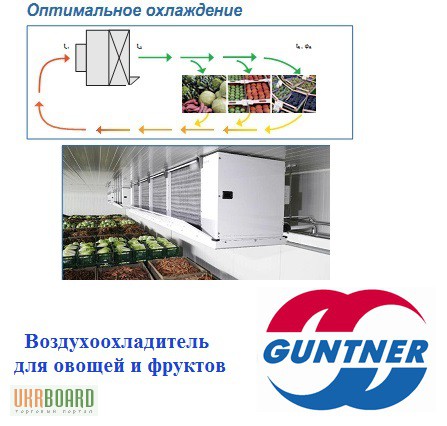 Фото 2. Воздухоохладители специальные для хранения овощей и фруктов GUNTNER