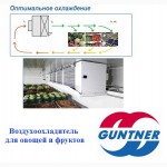 Воздухоохладители специальные для хранения овощей и фруктов GUNTNER