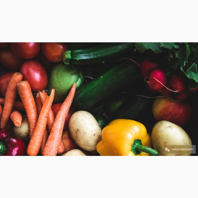 Овощи и фрукты (огурец, редис, картошка) оптом от производителя