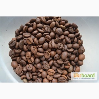Кофе свежеобжаренный в зернах Робуста Индия Черри AA и другие сорта