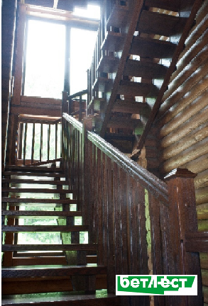 Фото 2. Деревянные лестницы под ключ