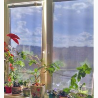 Солнцезащитная пленка «Комфортный дом» 0, 7 м. х 8.0 м. (3 окна)