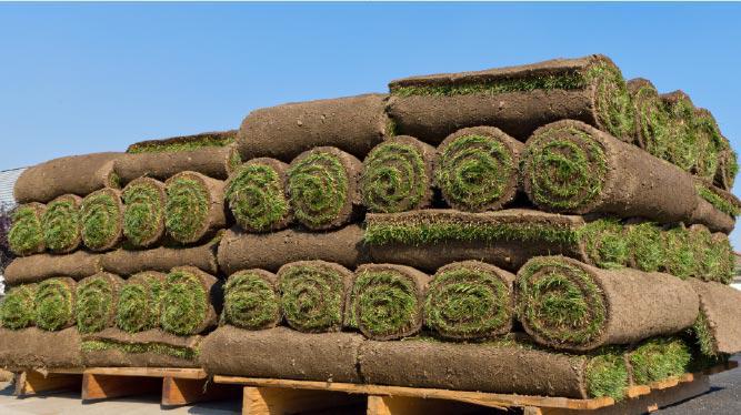 Фото 3. Купить рулонные газоны STARK от производителя в Украине по лучшим ценам от 65 грн/ кв.м