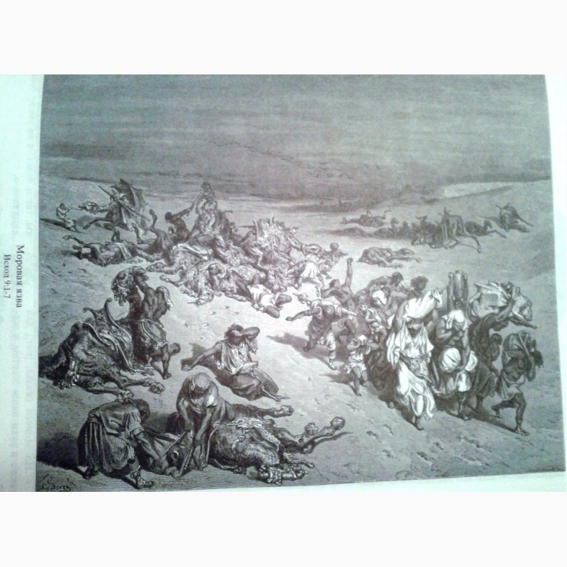 Фото 7. Каноническая Библия с гравюрами Гюстава Доре