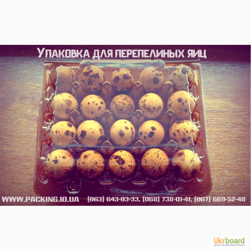 Фото 3. Самая прочная и многоразовая упаковка для перепелиных яиц в Украине