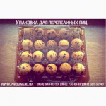 Самая прочная и многоразовая упаковка для перепелиных яиц в Украине