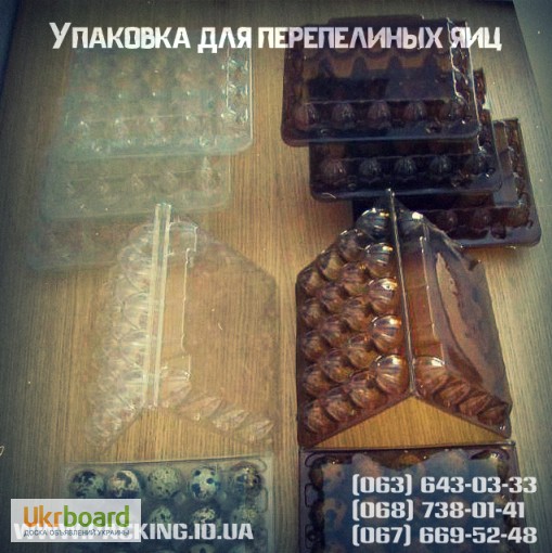 Фото 5. Самая прочная и многоразовая упаковка для перепелиных яиц в Украине
