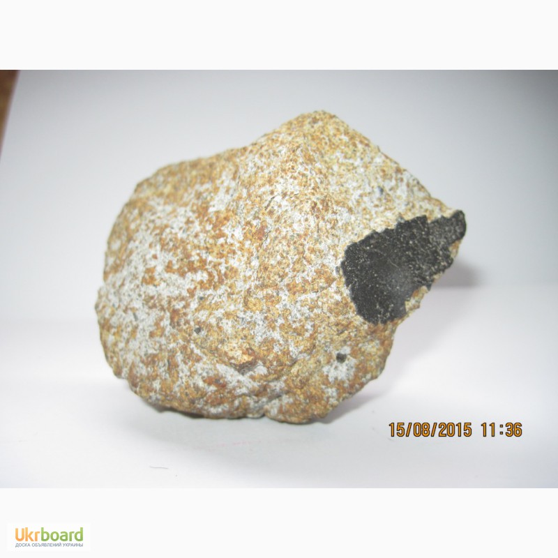 Фото 12. Метеорит