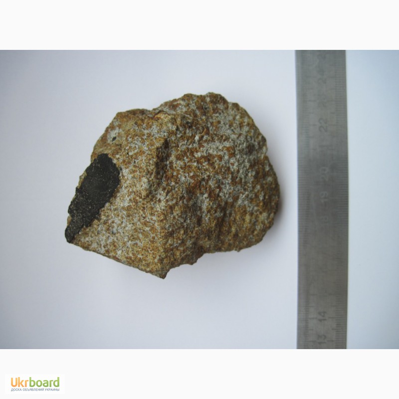 Фото 6. Метеорит