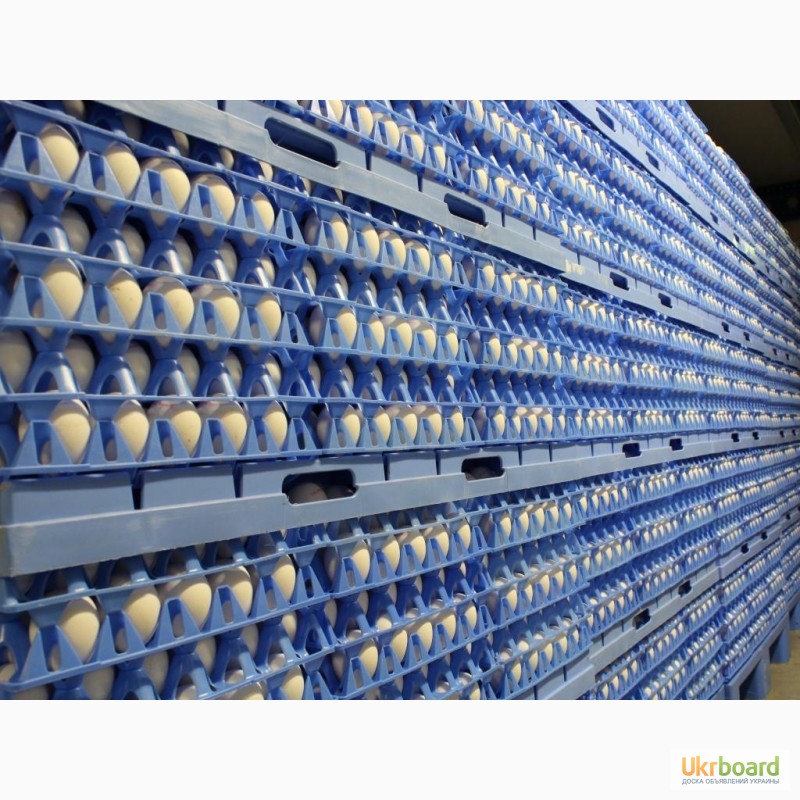Фото 4. Ящики для перевозки яиц в лотках, упаковка для яиц