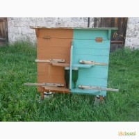 Продам вулики разом з бджолами