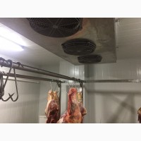 Камера хранения свинины