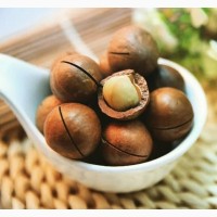 Орехи Макадамия 1кг Китайская макадамия пряная, молочного цвета, имеет карамельный привкус