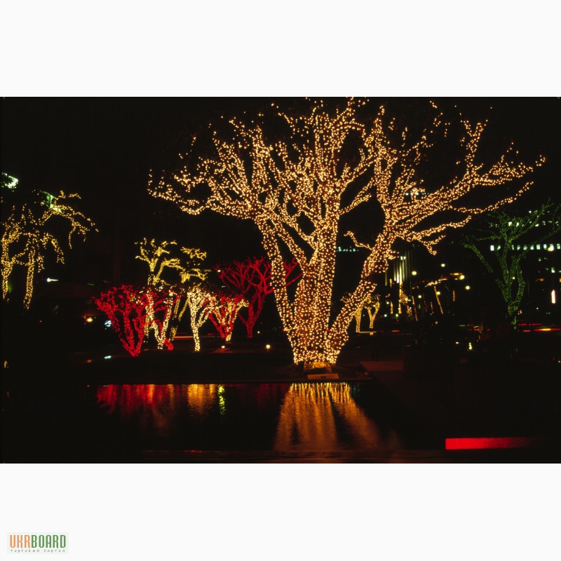 Фото 3. Праздничное новогоднее оформление, украшение деревьев гирляндами, подсветка деревьев