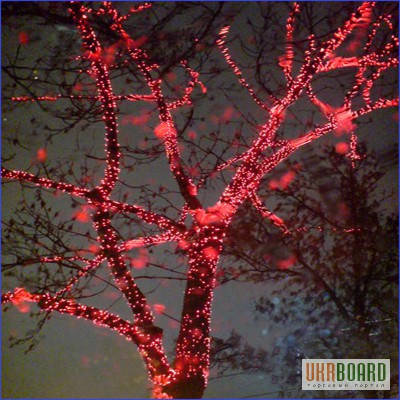 Фото 7. Праздничное новогоднее оформление, украшение деревьев гирляндами, подсветка деревьев