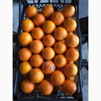 Продажа апельсин высшего сорта