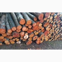 Продам дрова різних порід і в різних обємах