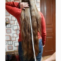 Покупаем натуральные, седые, крашеные или с проседью волосы в Днепре от 35 см