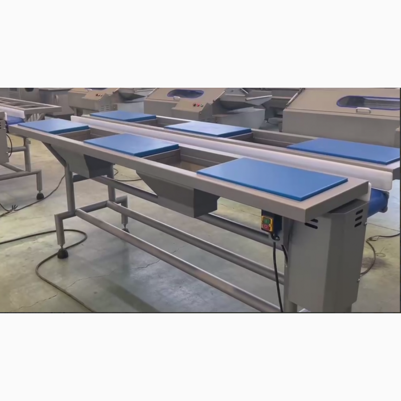 Фото 4. Інспекційний стіл з конвеєрною стрічкою STvega Inspection Table 6WP
