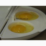 Омлетница Egg and Omelet Wave (EMSON) (Эг энд омлет вейв) для микроволновой печи