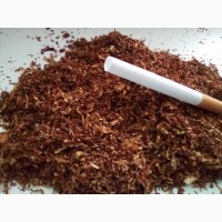 Табак боливийский +мериленд
