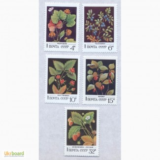 Почтовые марки СССР 1982. 5 марок Дикорастущие ягоды